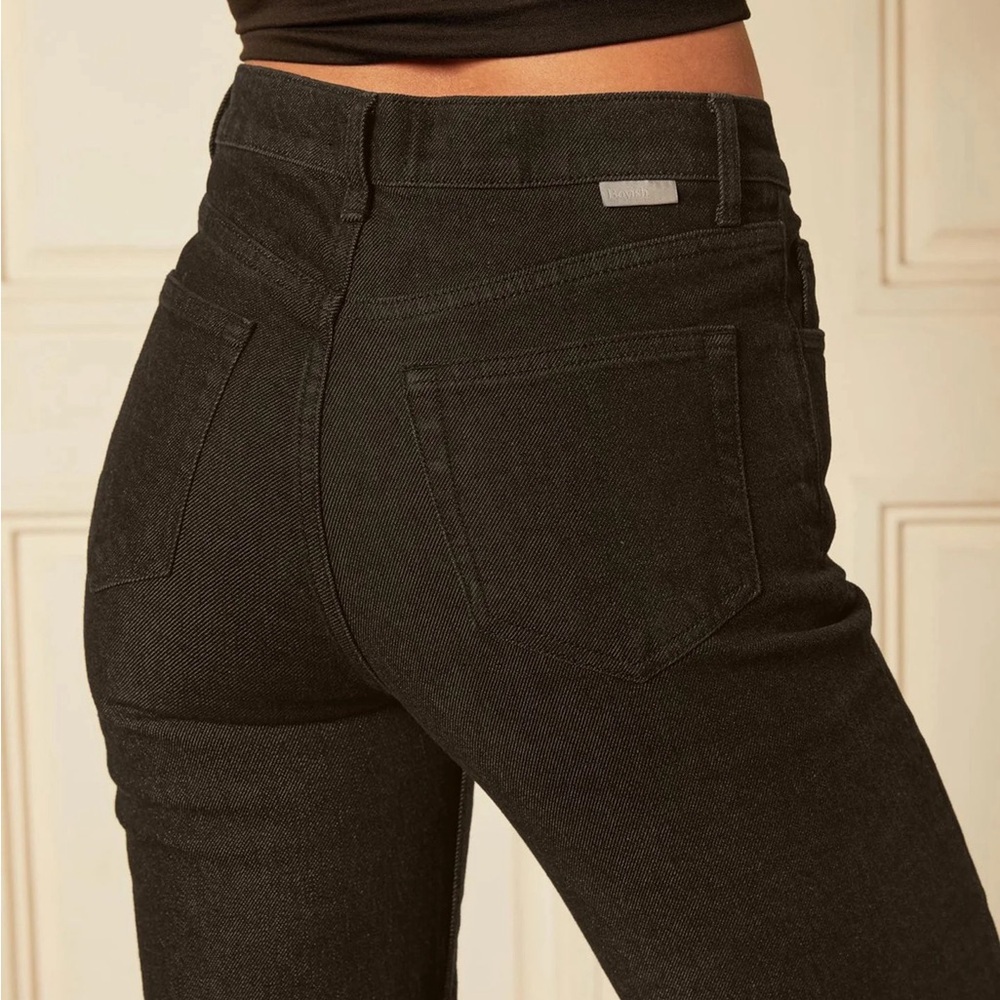 Boyish the Mikey Black high rise jeans